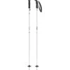 Atomic Cloud Womens Ski Poles