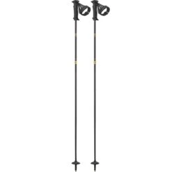 Salomon Element Carbon Ergo S3 Ski Poles