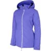 Beam Ski Jacket 1 Beam Ski Jacket -Deals Salomon Store karbon beam ski jacket wisteria 1