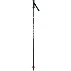 Speed Ski Pole 2022